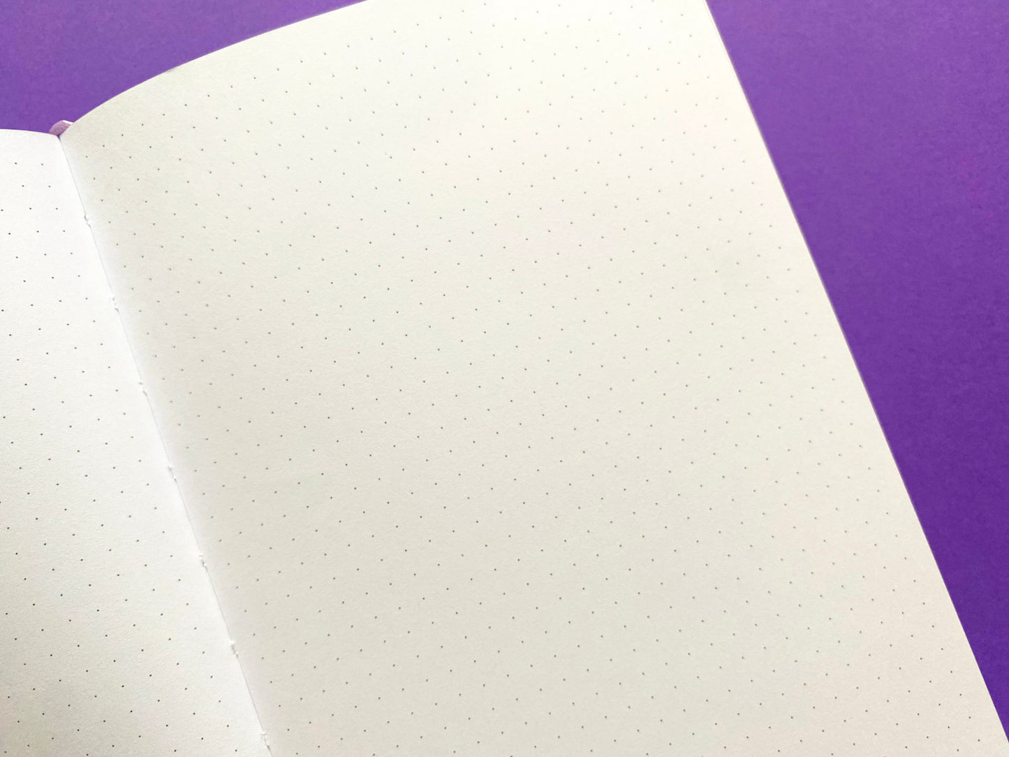 A5 Holographic Notebook – Dreamy Fly | Violet Ocean View Journal