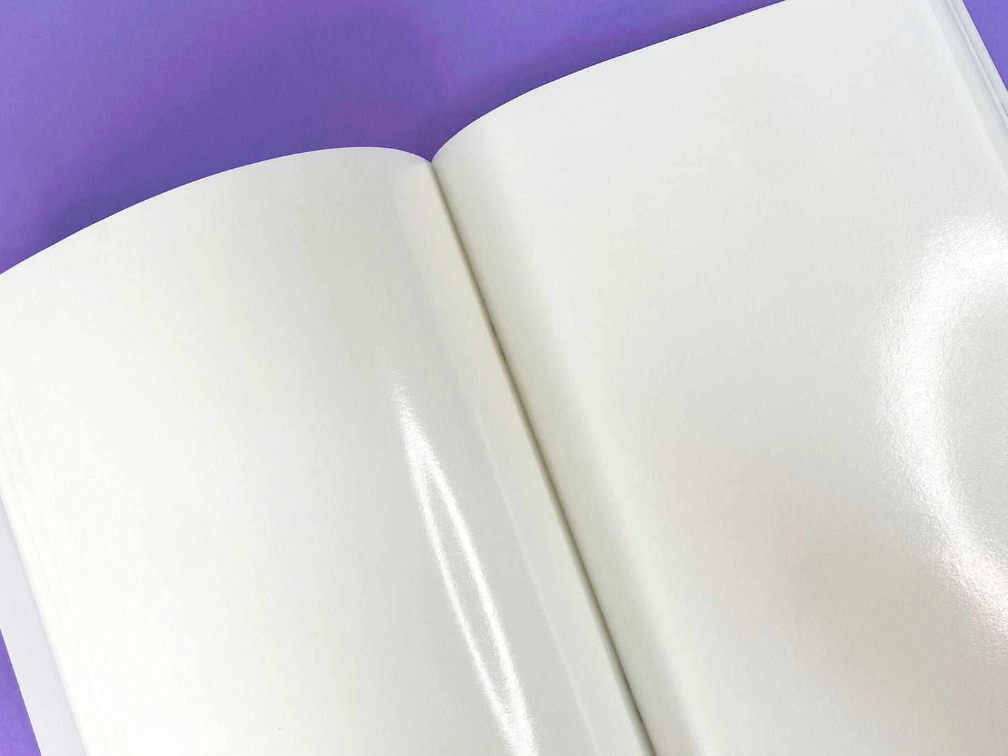 Tropical Exploration A5 Sticker Book