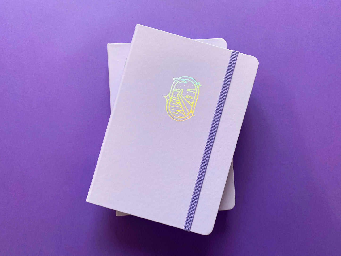 Carnet A5 Holographique "Dreamy Fly" avec boîte protectrice